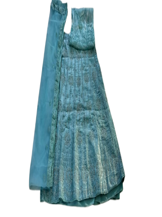 ShinySelect Women Jimmy Choo stylis partywear Lehenga with stone work & blouse piece (Jimmy Choo)