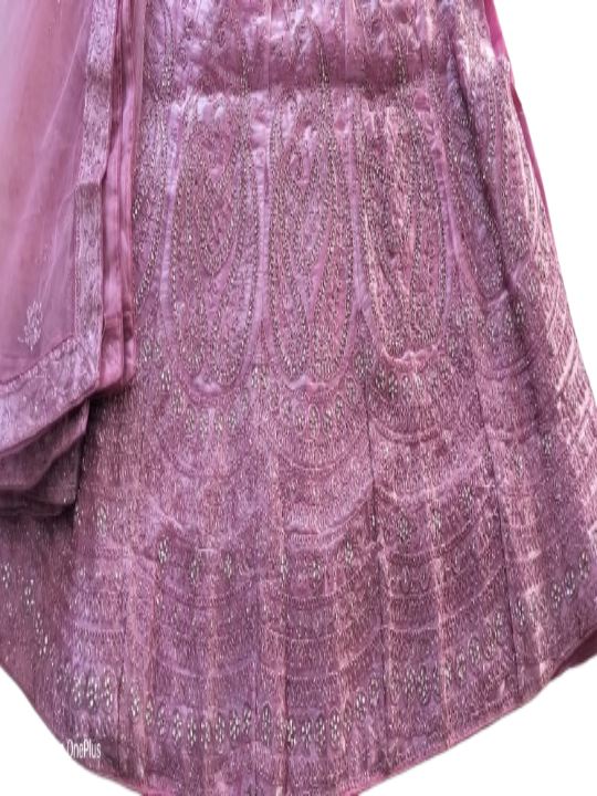 ShinySelect Women Jimmy Choo stylis partywear Lehenga with stone work & blouse piece (Jimmy Choo)