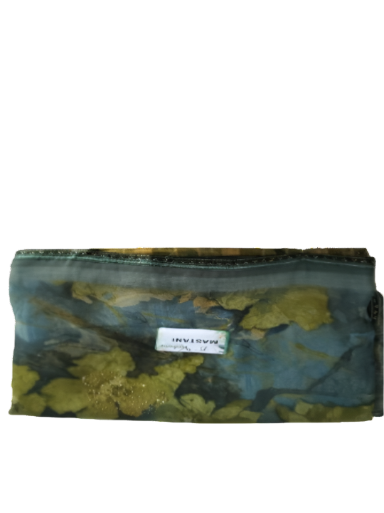 ShinySelect Soft & comfortable Georgette saree with light stone work Green