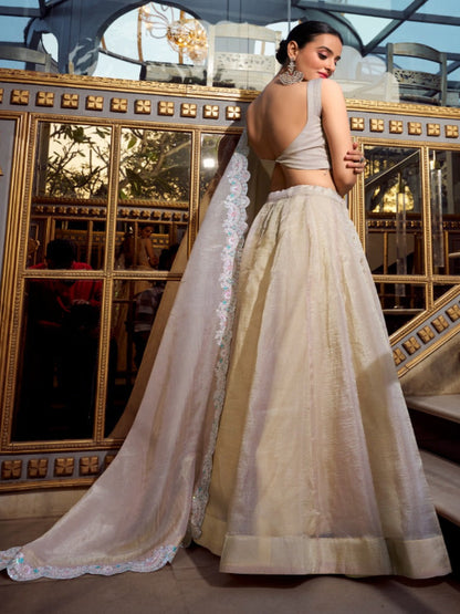 ES Elegant Gold Crush Lehenga Set with Sequins, Jarkan Work
