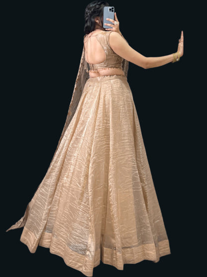 ES Gold Crush Wedding Lehenga, Blouse & Dupatta Set
