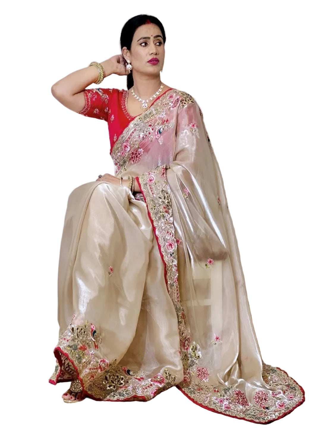 ES Jimichu Silk Saree with Multi-Sequence & Cut Work Embroidery Border