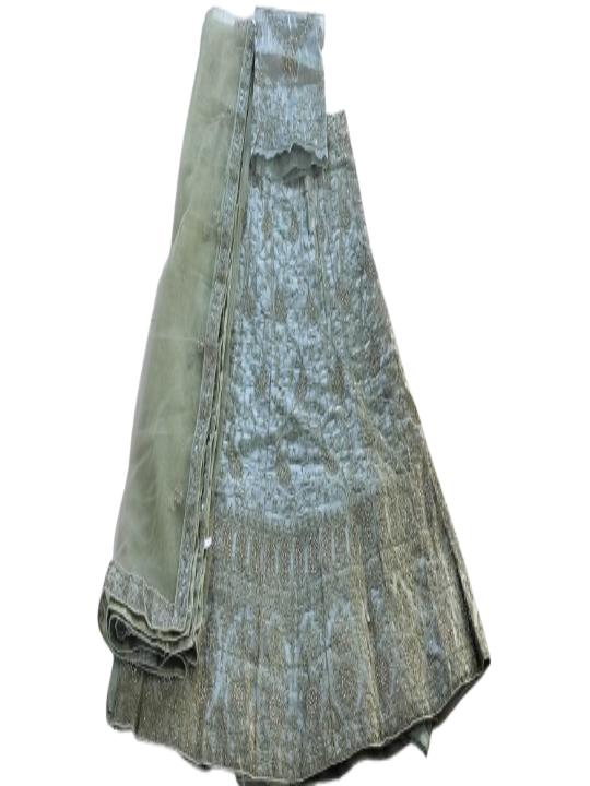ShinySelect Women Jimmy Choo stylis partywear Lehenga with stone work & blouse piece (Jimmy Choo)
