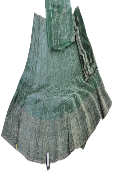 ShinySelect Women Jimmy Choo stylis partywear Lehenga with stone work & blouse piece (Jimmy Choo) Jimmy Choo Light Green