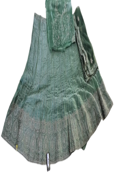 ShinySelect Women Jimmy Choo stylis partywear Lehenga with stone work & blouse piece (Jimmy Choo) Jimmy Choo Light Green