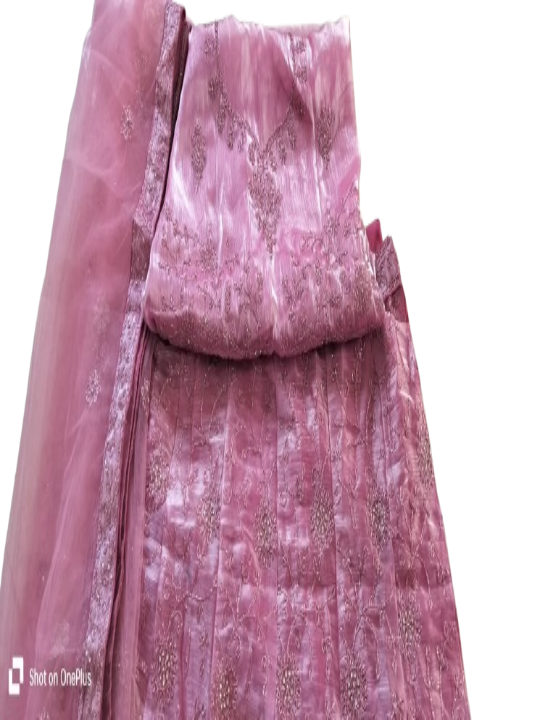 ShinySelect Women Jimmy Choo stylis partywear Lehenga with stone work & blouse piece (Jimmy Choo) Jimmy Choo Pink