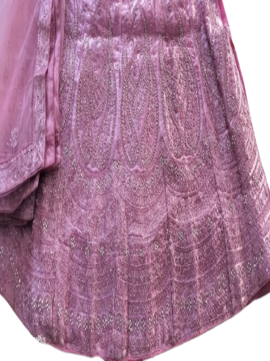 ShinySelect Women Jimmy Choo stylis partywear Lehenga with stone work & blouse piece (Jimmy Choo)