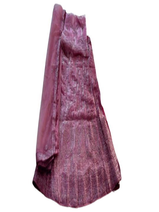 ShinySelect Women Jimmy Choo stylis partywear Lehenga with stone work & blouse piece (Jimmy Choo)