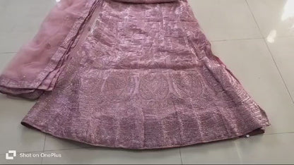 Women Jimmy Choo partywear Lehenga with stone work_1