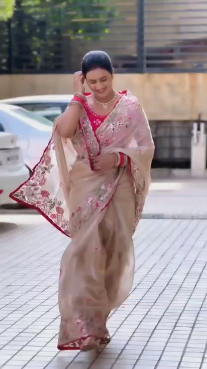 ES Jimichu Silk Saree with Multi-Sequence & Cut Work Embroidery Border